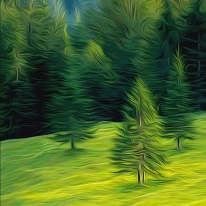 Meet your Posher, Jackson